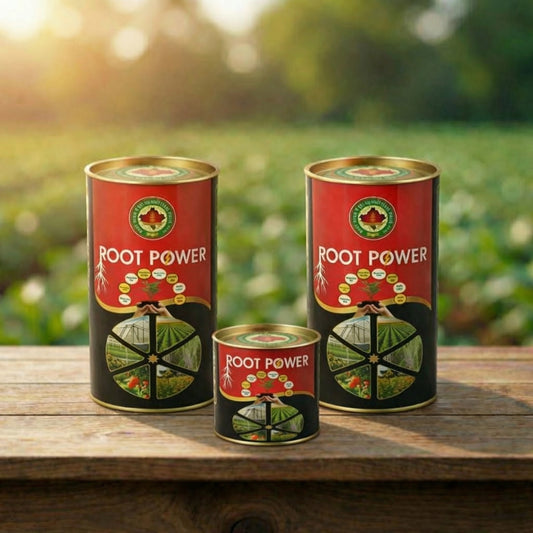Combo Offer (2kg + 200g Free)