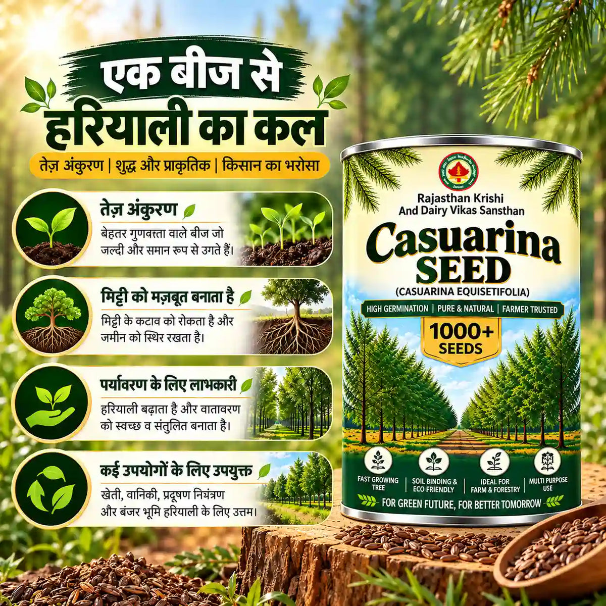 Casuarina Seed
