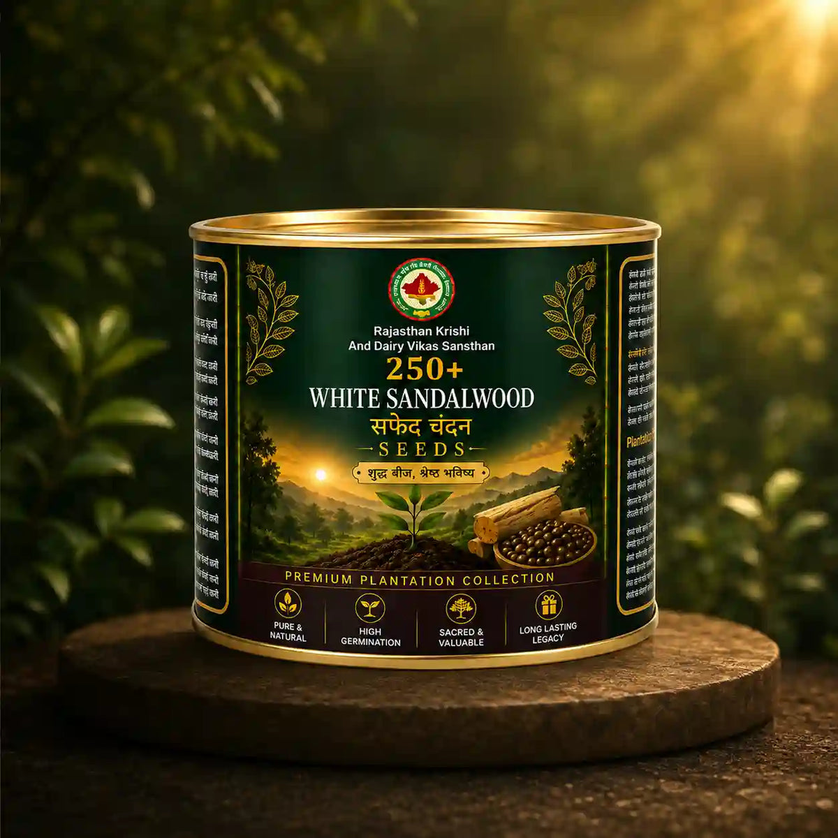 White Sandalwood Seeds