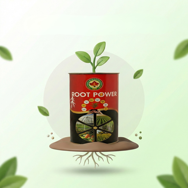 Root Power