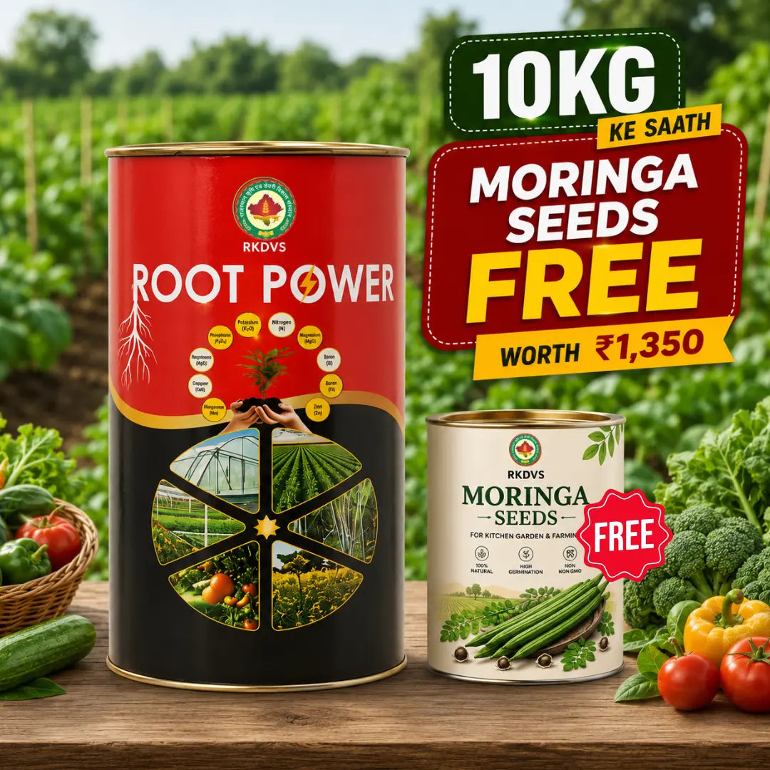 Root Power 10kg Combo