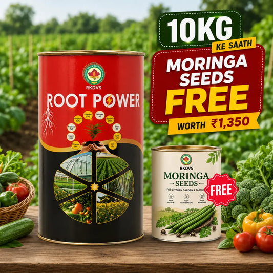 Root Power 10kg Combo
