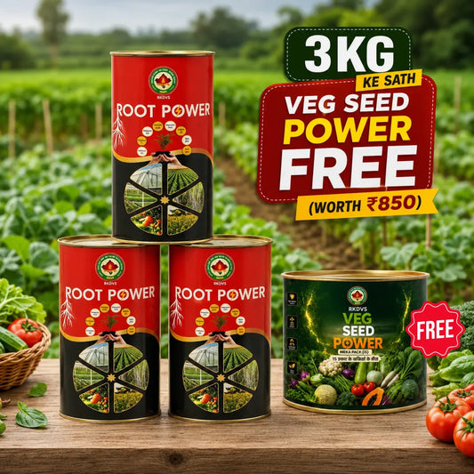 Root Power 3kg Combo