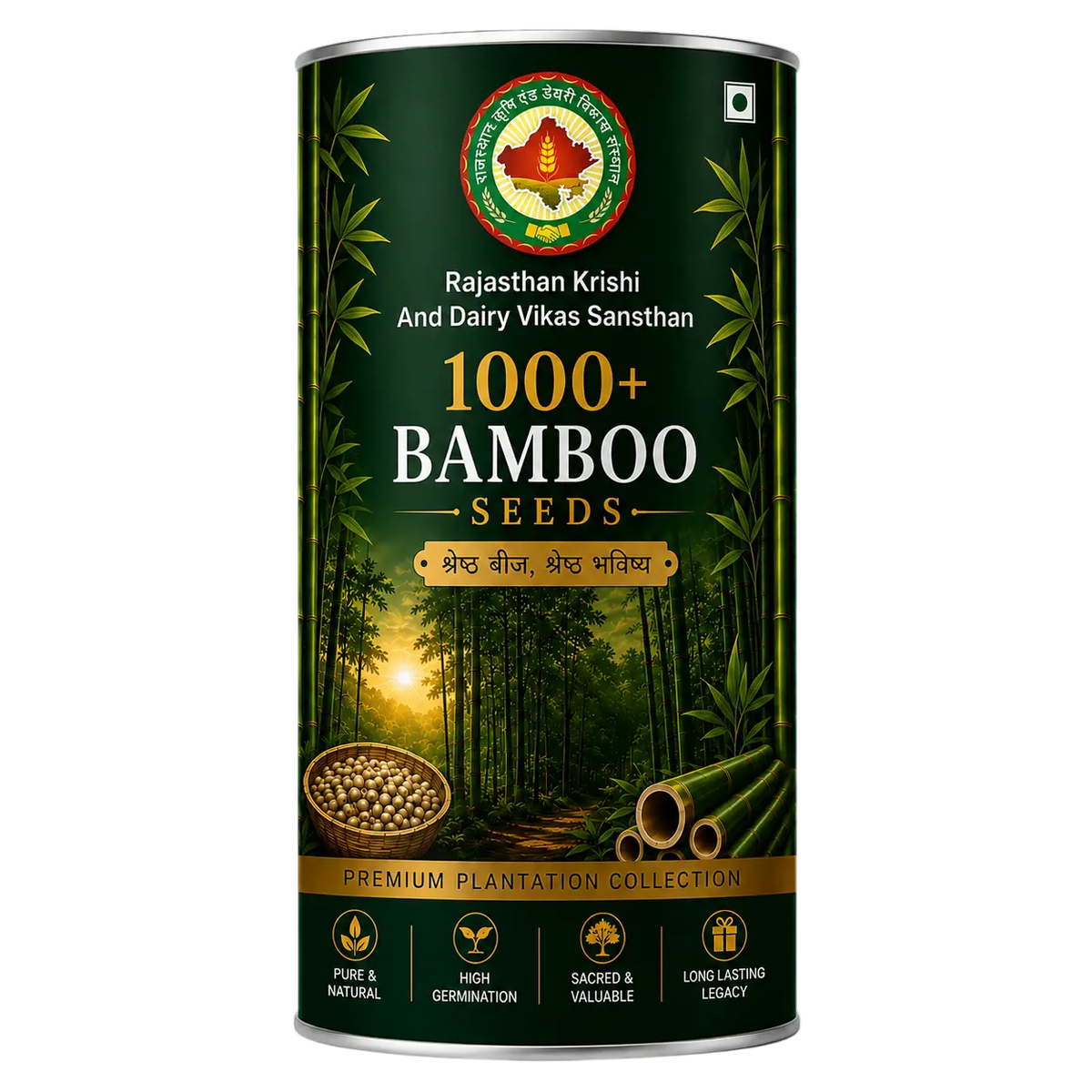 Bamboo seeds premium plantation pack - RKDVS natural seeds