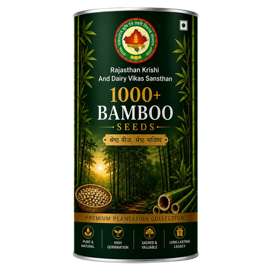 Bamboo seeds premium plantation pack - RKDVS natural seeds