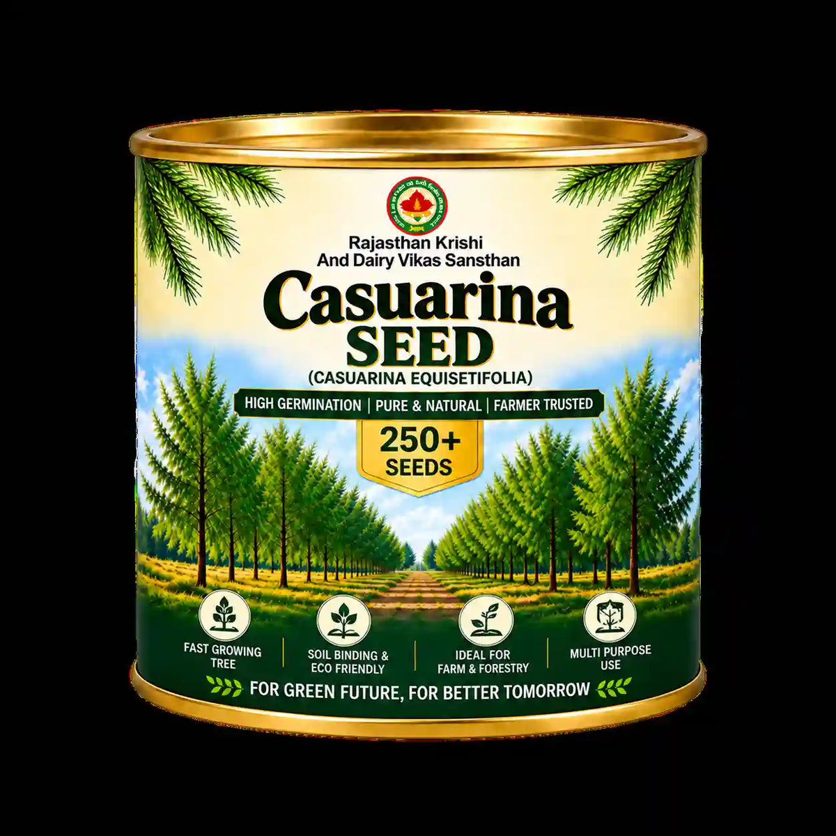 Casuarina Seed