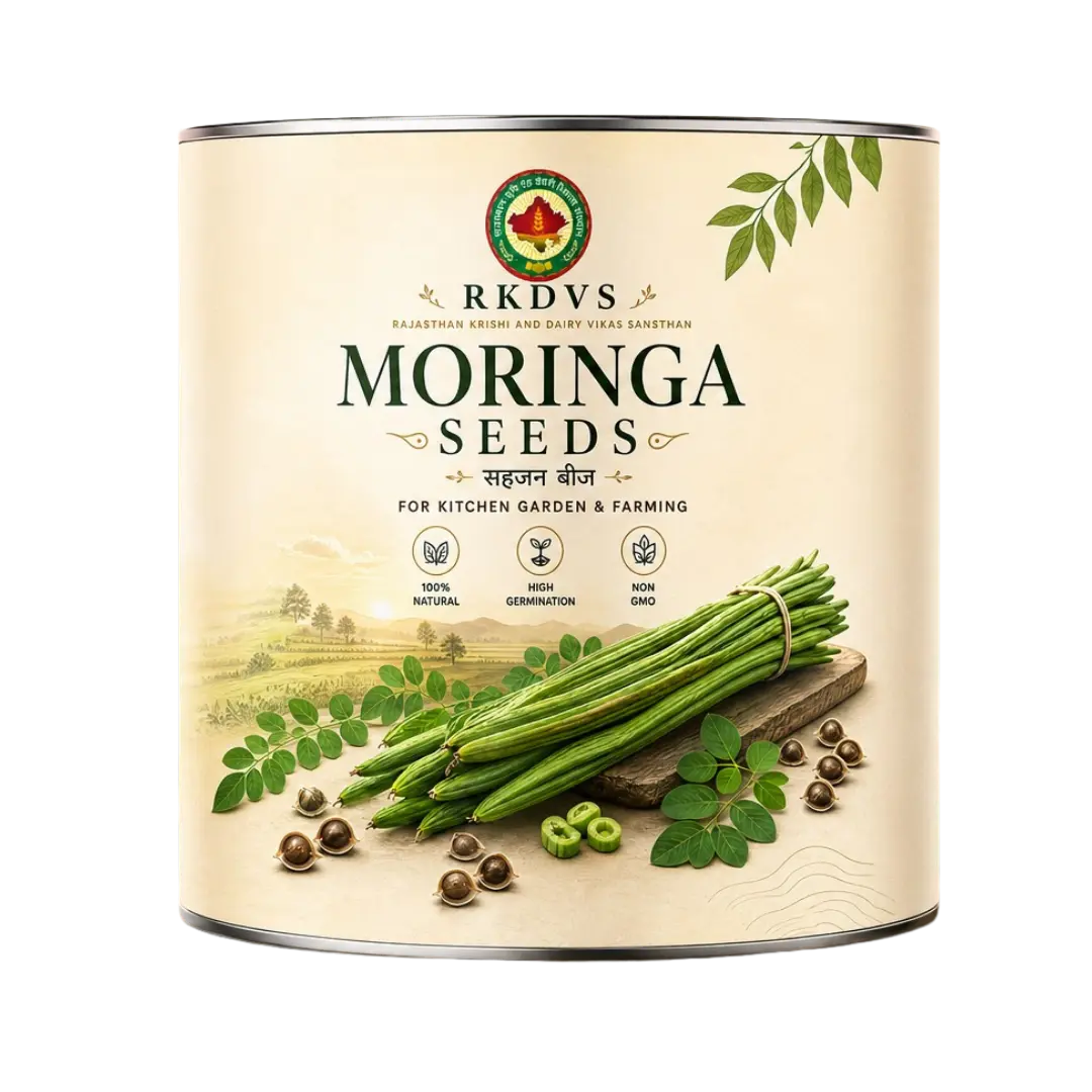 Moringa Seeds
