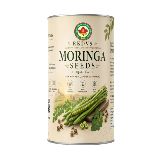 Moringa Seeds