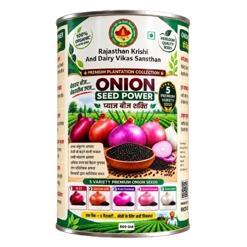 Onion Seed Power