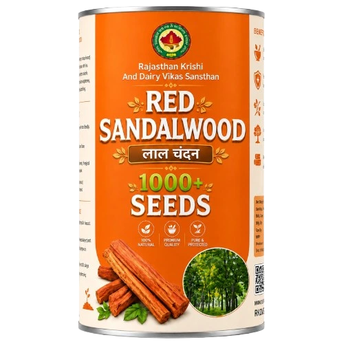 Red Sandalwood Seeds