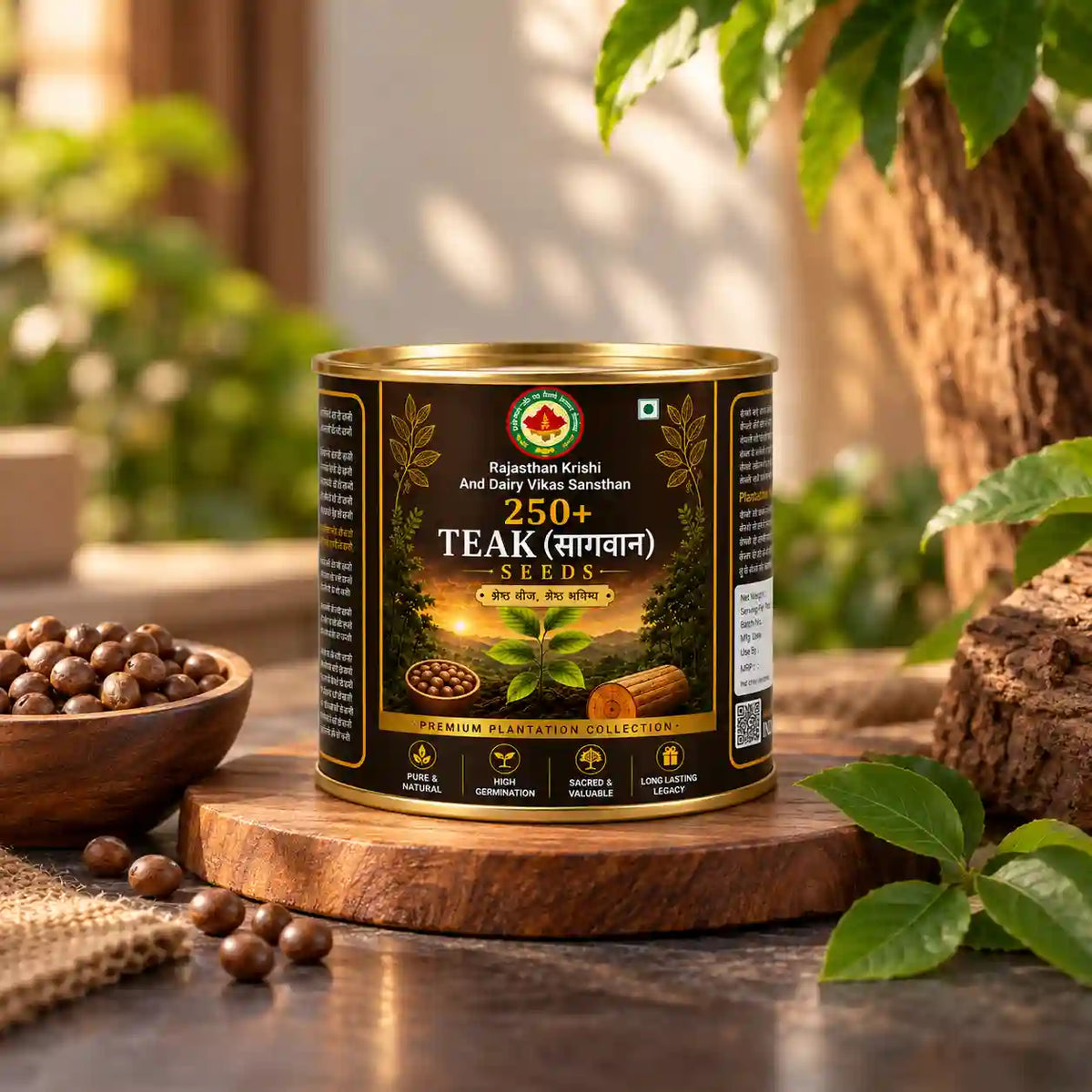Teak Seeds