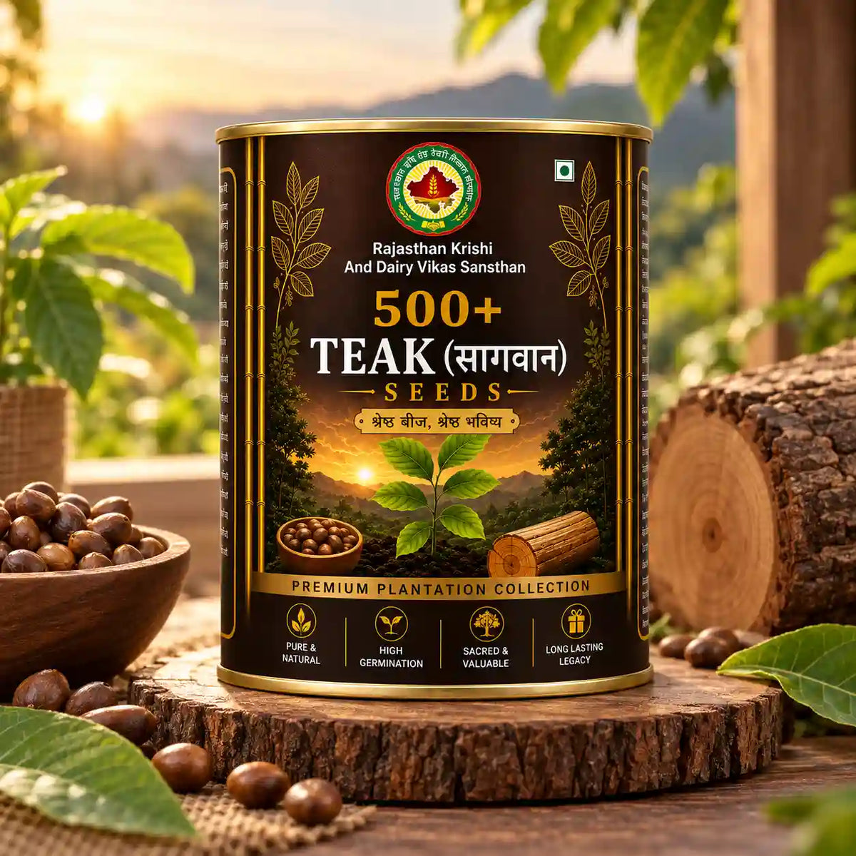 Teak Seeds