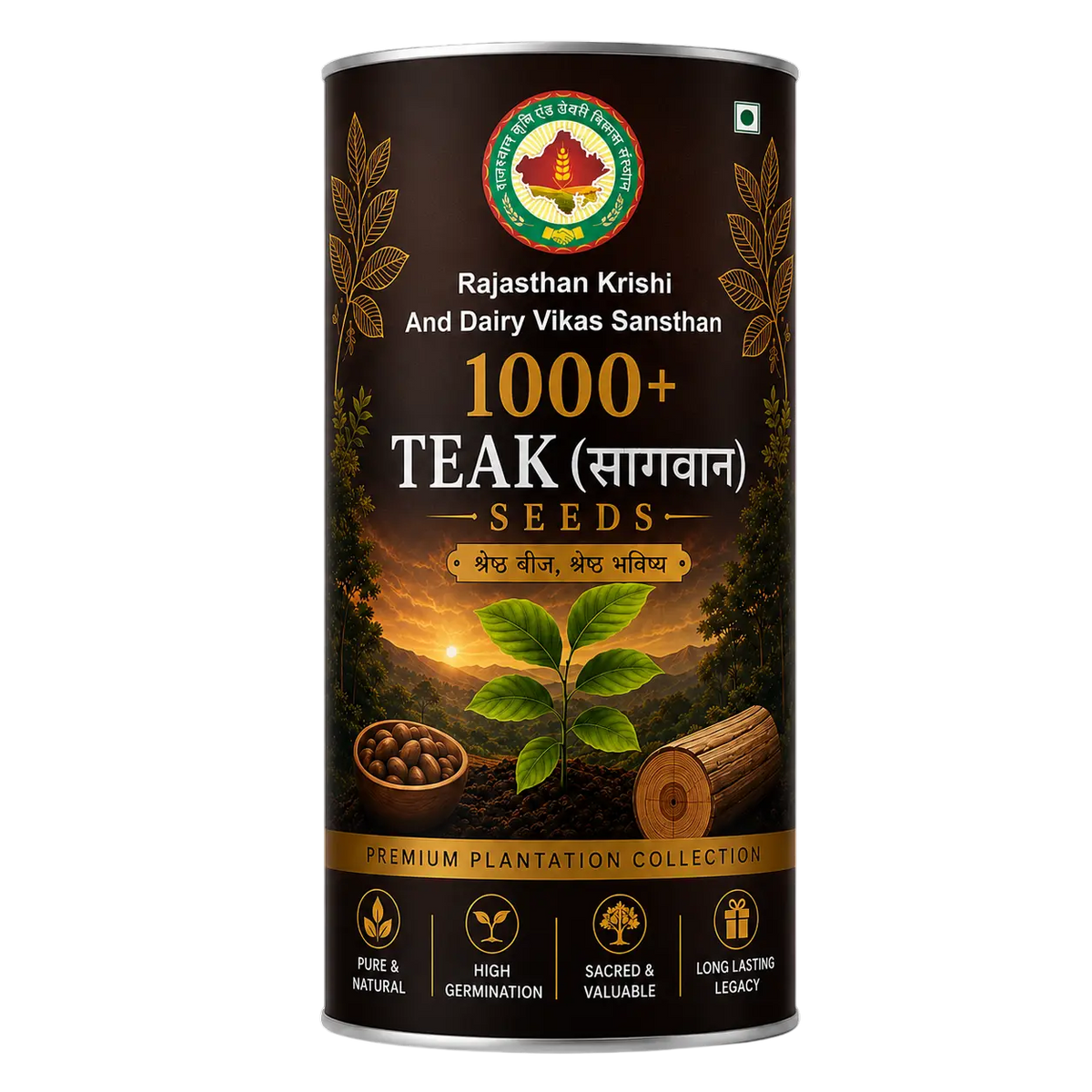 Teak Seeds