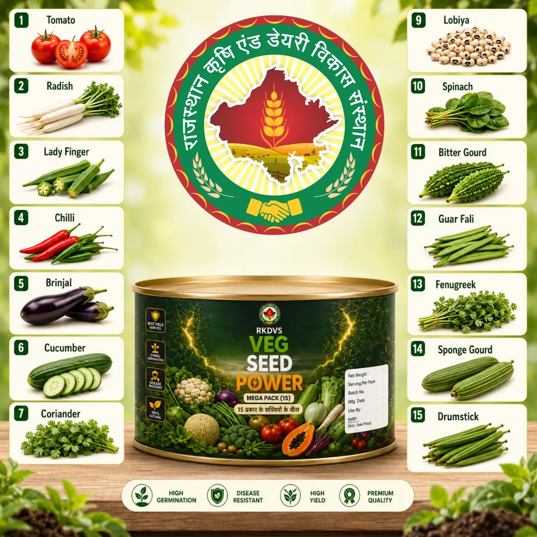 Veg Seed Power - Home Garden Seed Kit