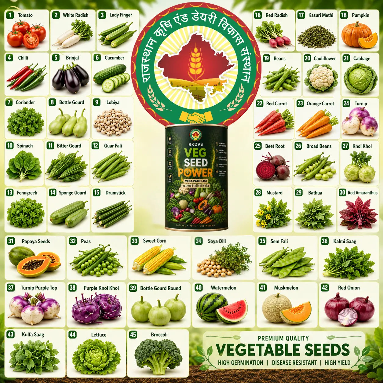 Veg Seed Power - Home Garden Seed Kit