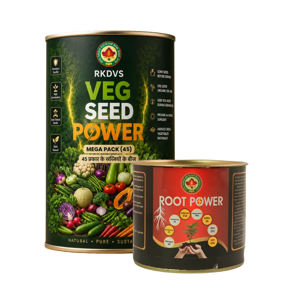 Veg Seed Power - Home Garden Seed Kit