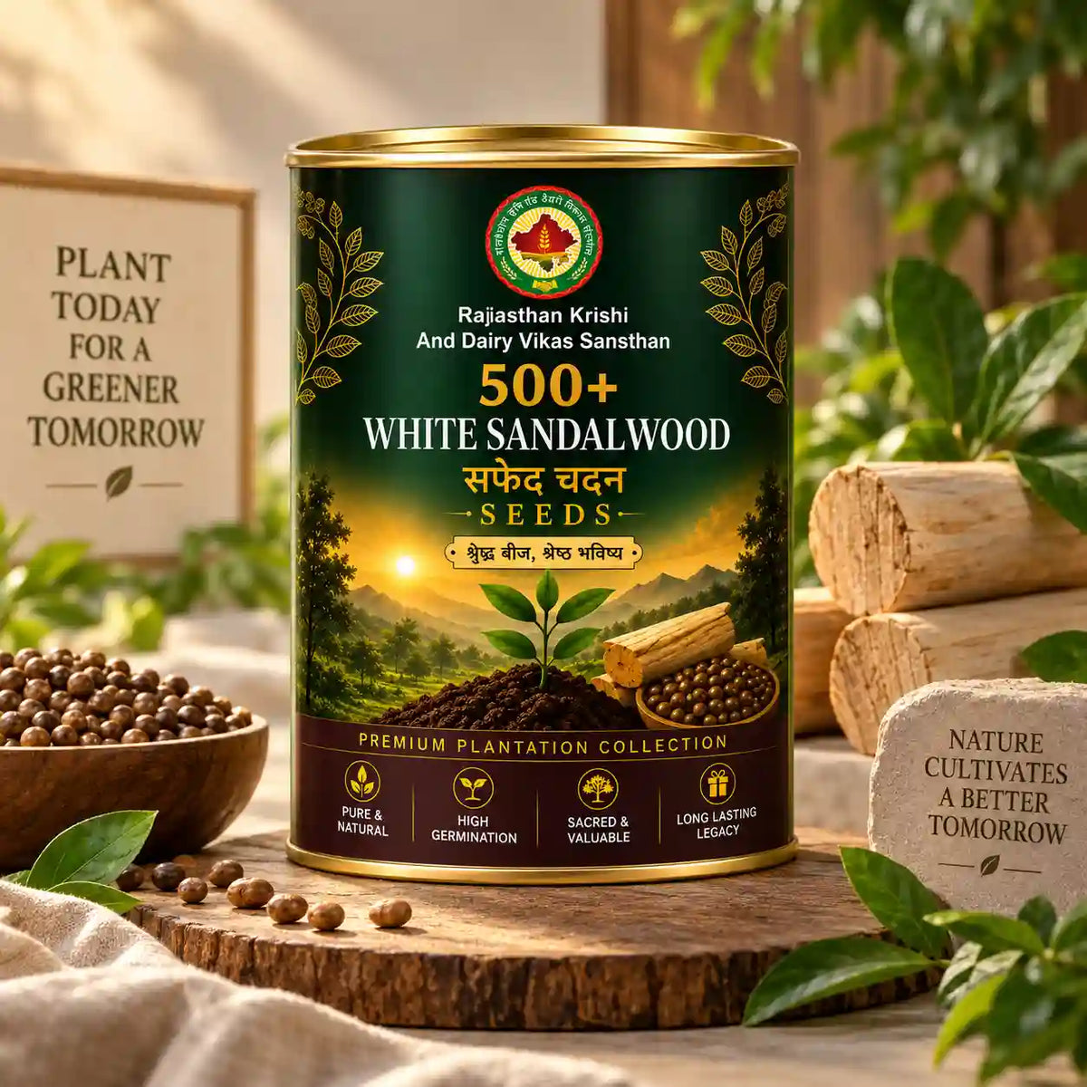 White Sandalwood Seeds