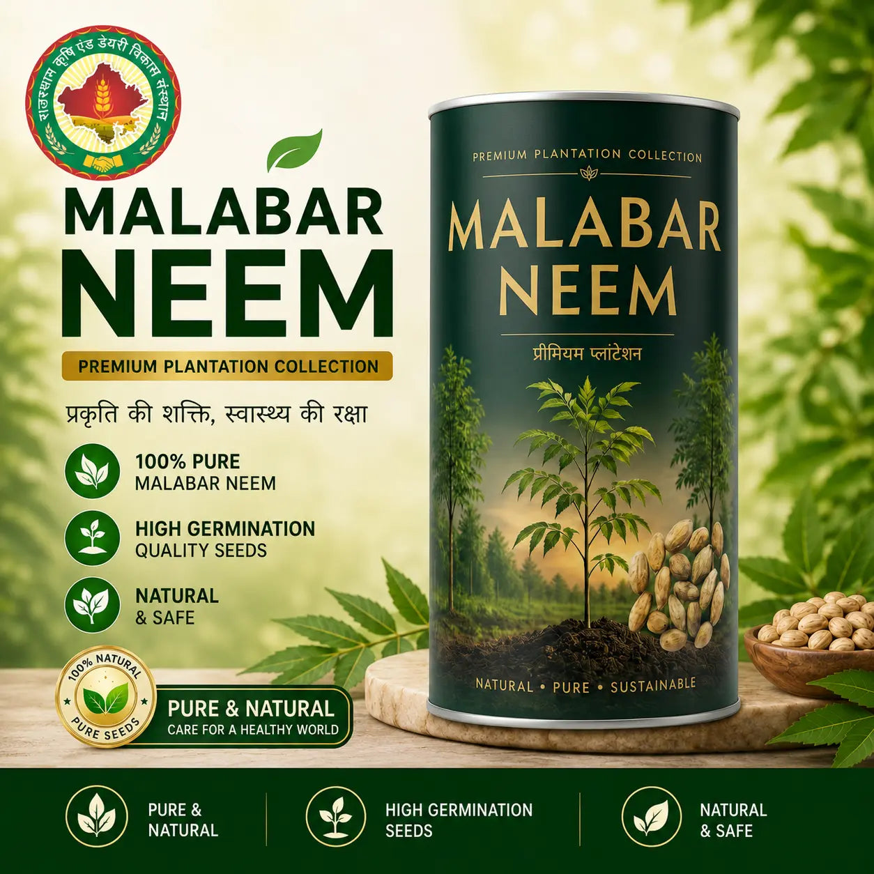 Malabar Neem Seeds