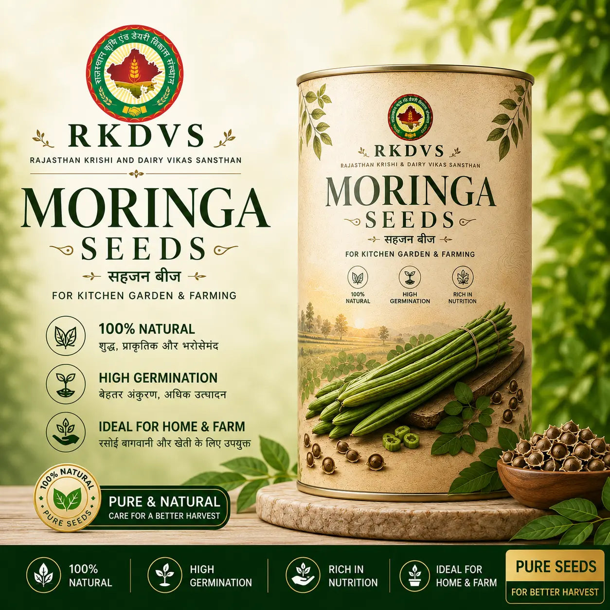 Moringa Seeds