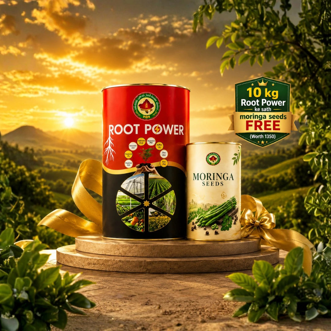 Root Power 10kg Combo