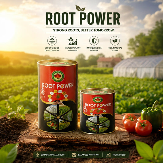 Plant Care Pack – Available in 500g & 200g Sizes